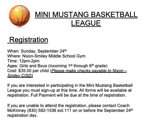Mini Mustang Basketball League